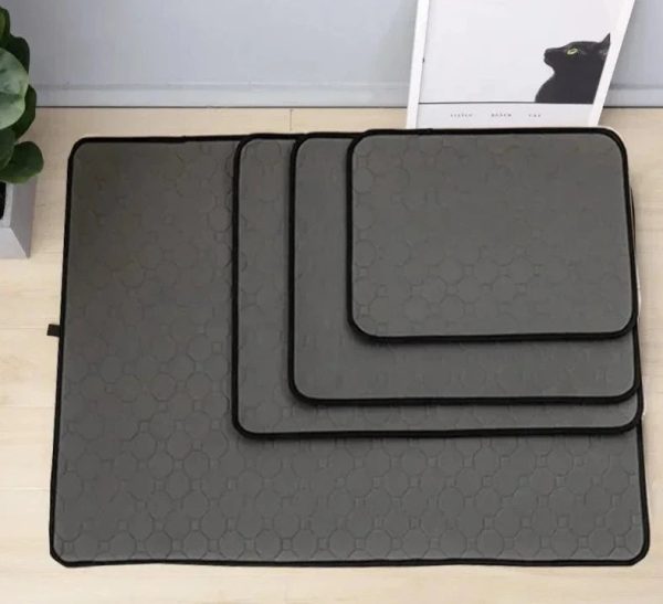 tapis de bain pour chien